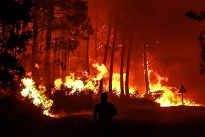 Incêndios florestais agravam crise do vinho em Bordeaux