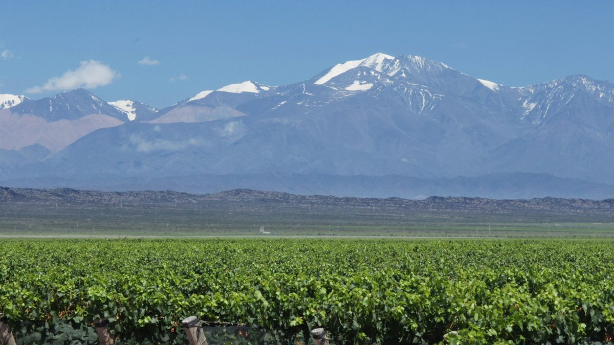 Halley e Ju: Por que Mendoza é o destino indispensável para os enoturistas?